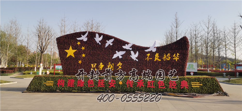 延安市五色草造型-開封前方高端園藝